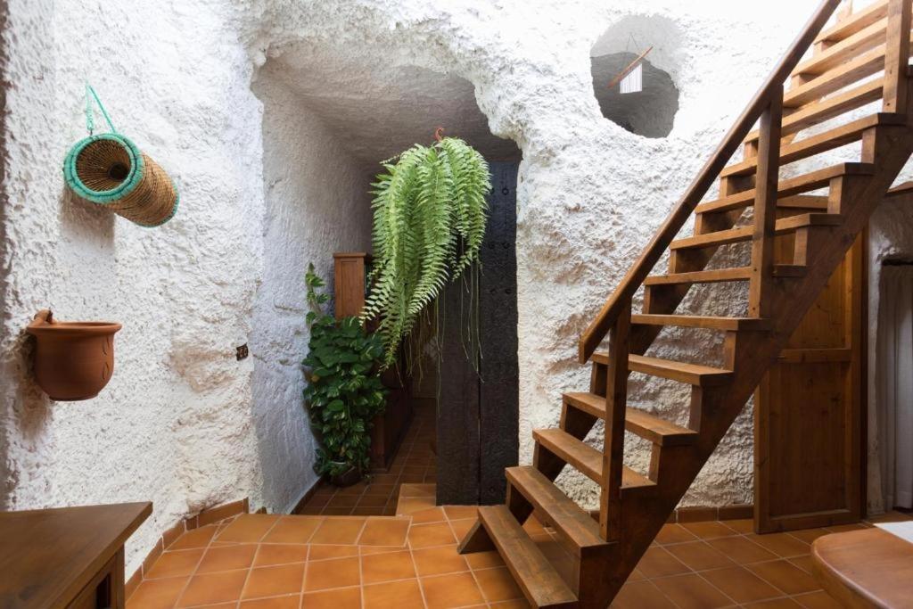 Live Socorro Cave Güimar Exterior foto